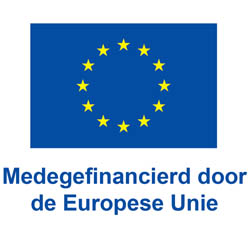NL V Medegefinancierd door de Europese Unie POS (klein)